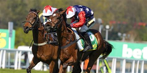 Kitty’s Light fantastic for Williams in Eider Chase.